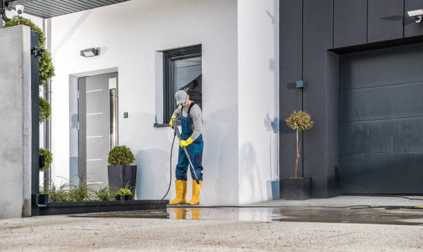 Best Paint Preparation  in Edgewater, CO